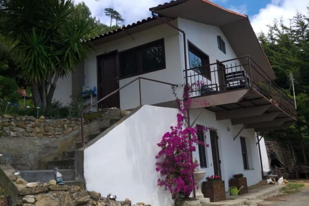 Detached House With Garden And Sea View Hostal San Remo Exterior foto